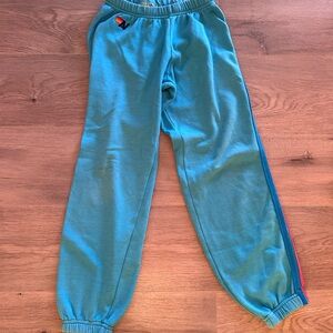 Aviator Nation Neon Stripe Sweatpants